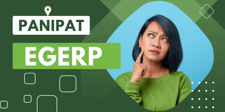 EGERP Panipat – Platform for Success in Software Programs EGERP Panipat